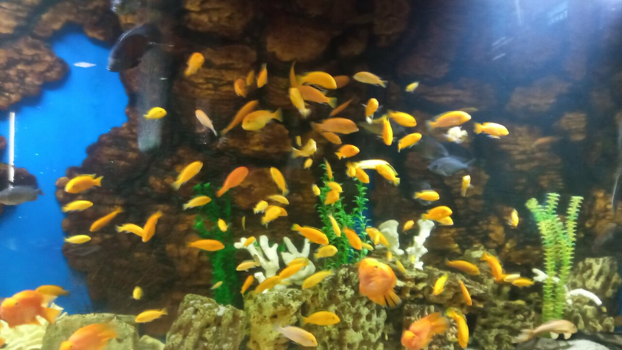 Гостиница Приокская Калуга-132