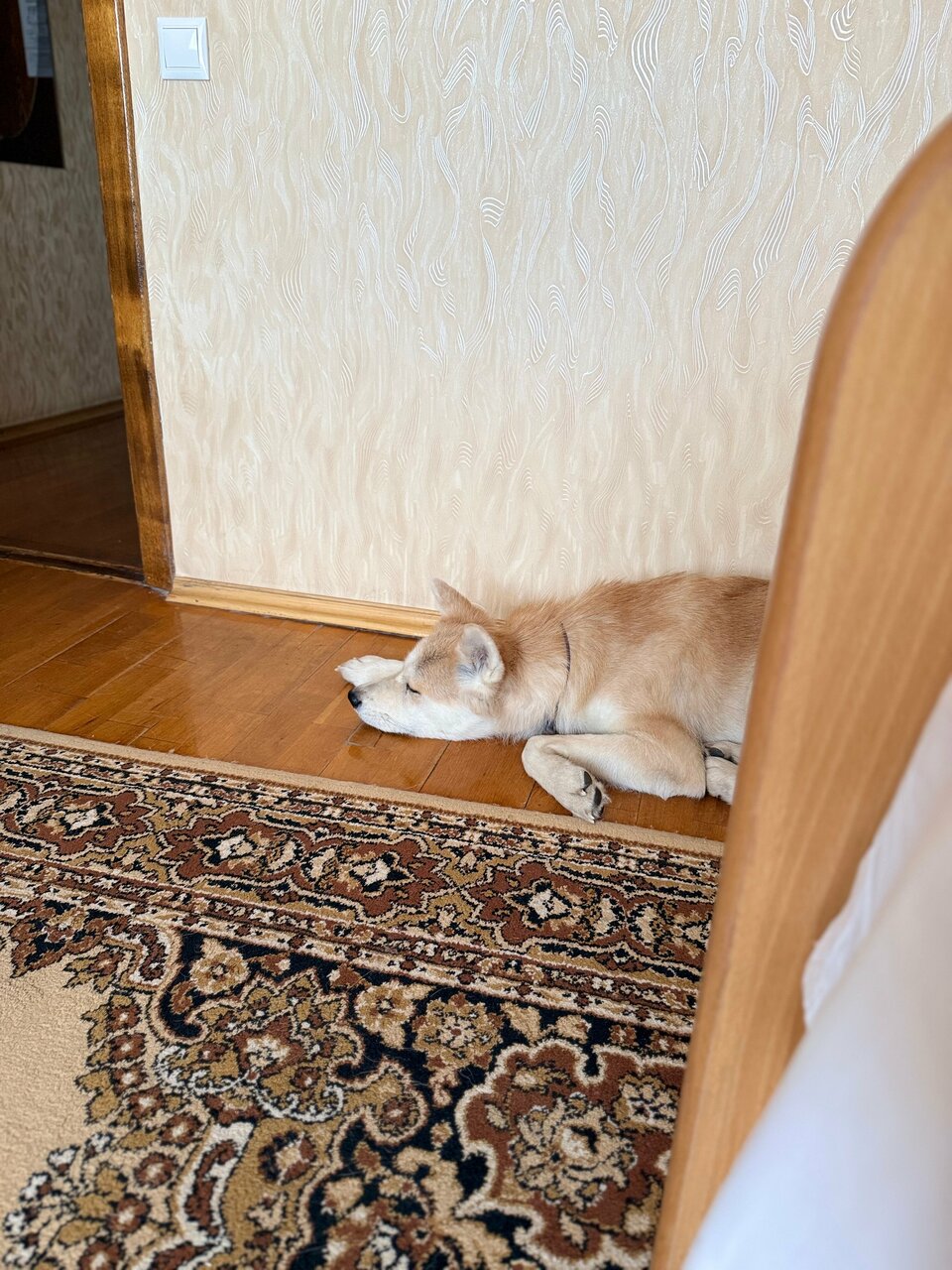 Гостиница Приокская Калуга-113