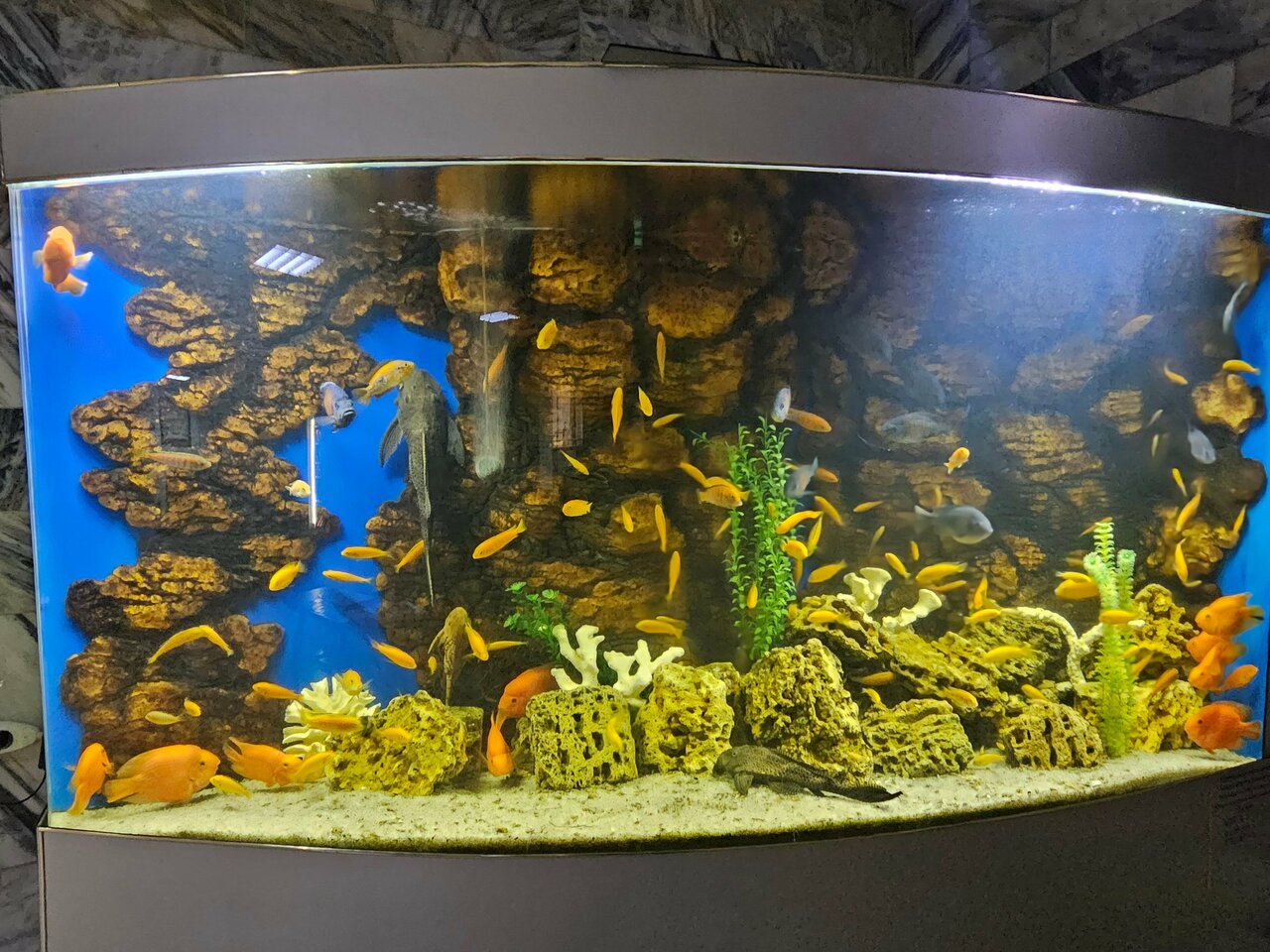 Гостиница Приокская Калуга-215