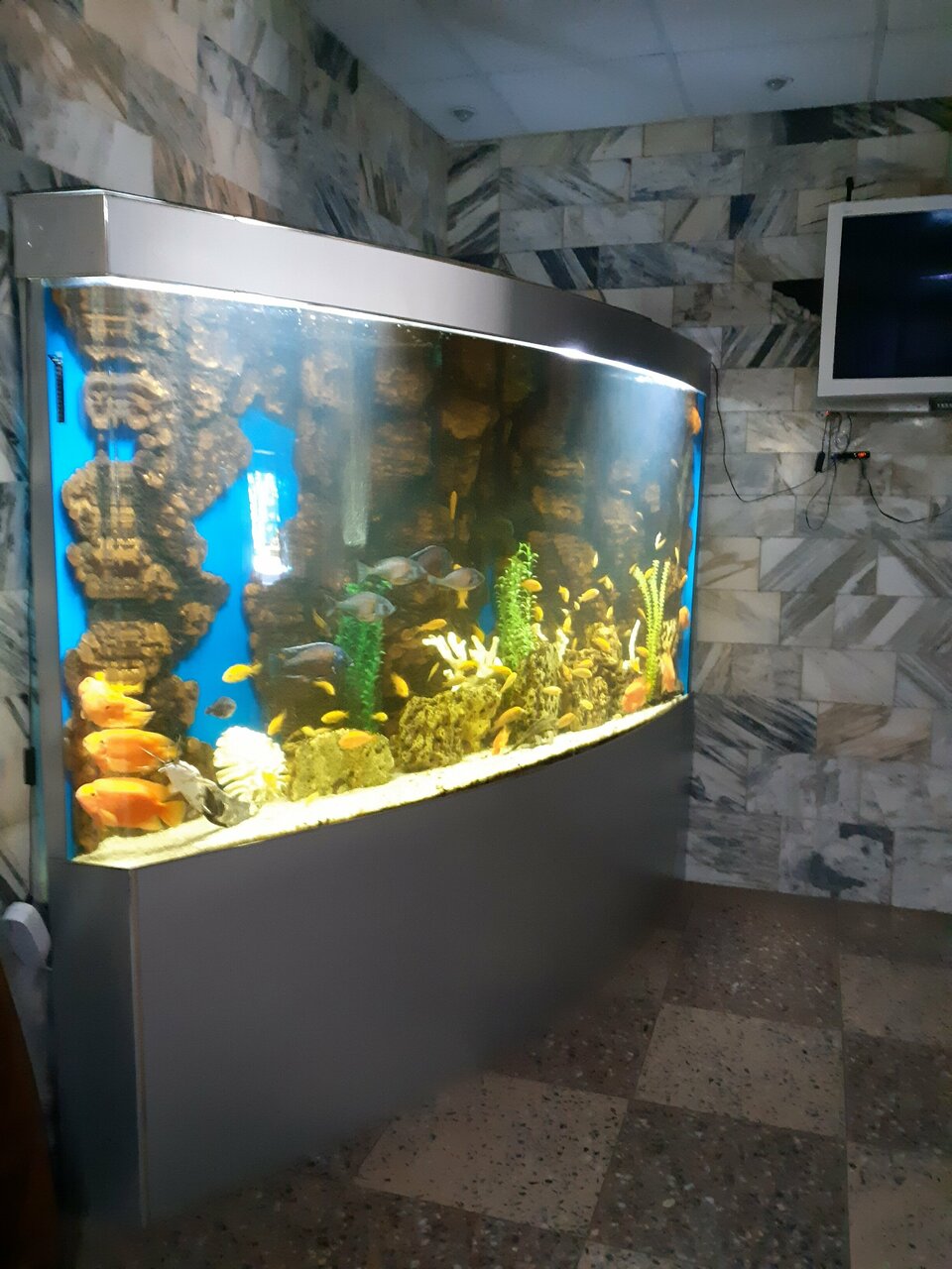 Гостиница Приокская Калуга-222