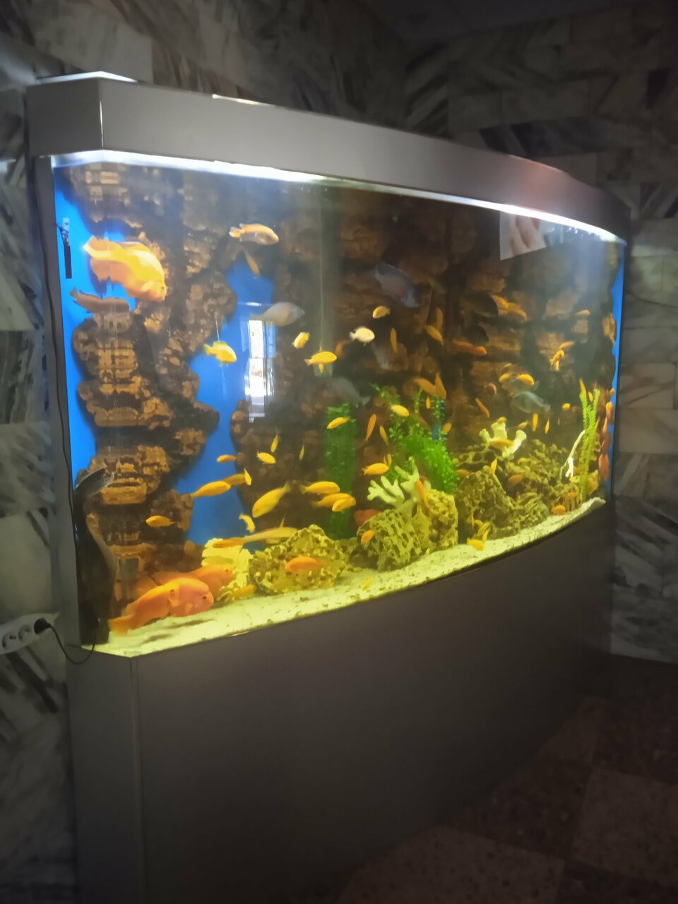 Гостиница Приокская Калуга-151