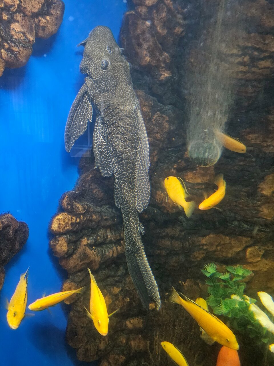 Гостиница Приокская Калуга-108