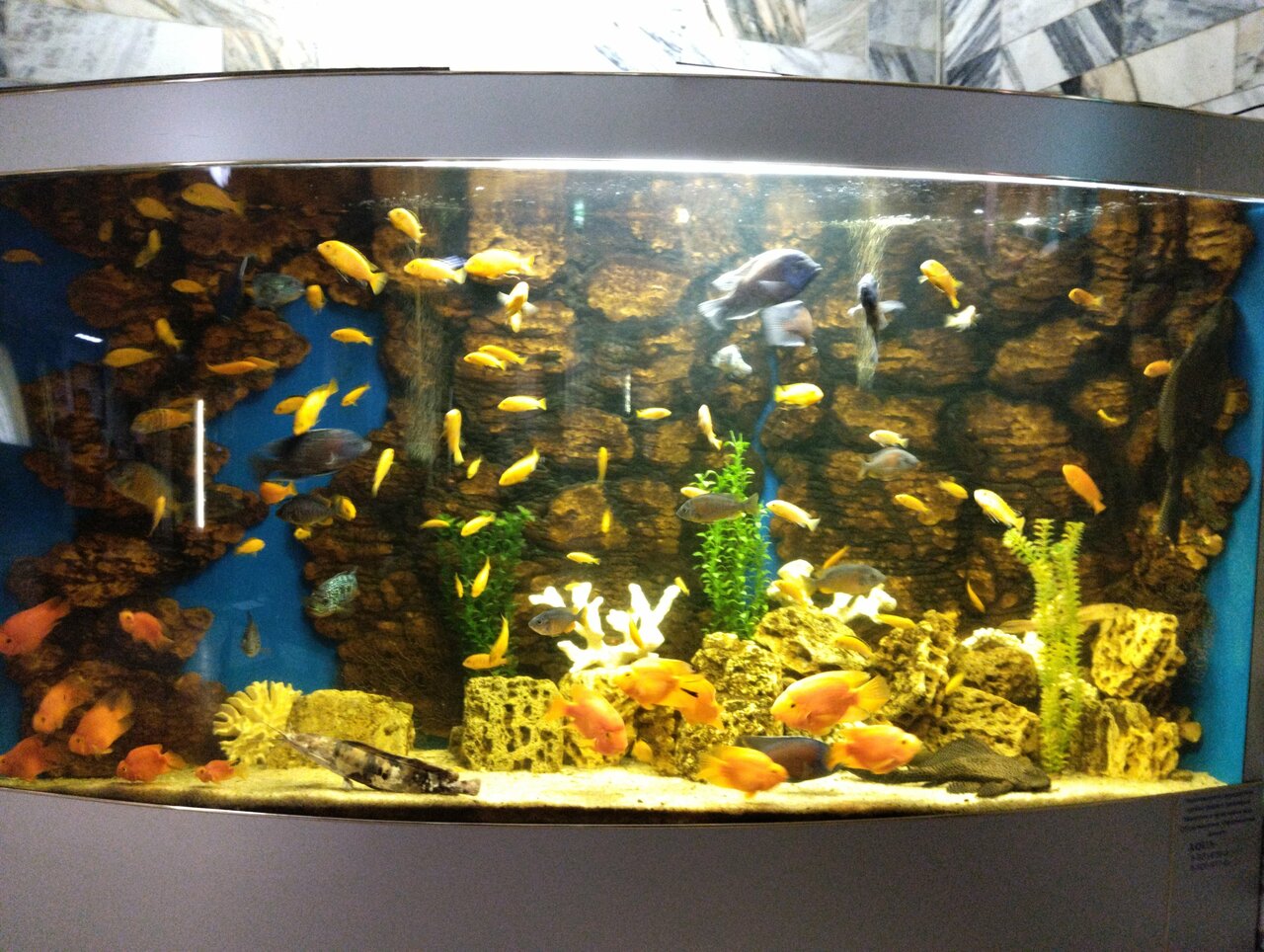 Гостиница Приокская Калуга-180